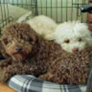 Meet your Posher, Tricia